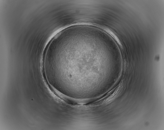 X0000095511101200712141418