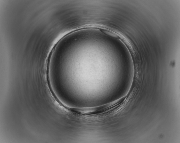 X0000095511102200712141418