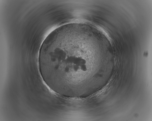X0000095511103200712141418