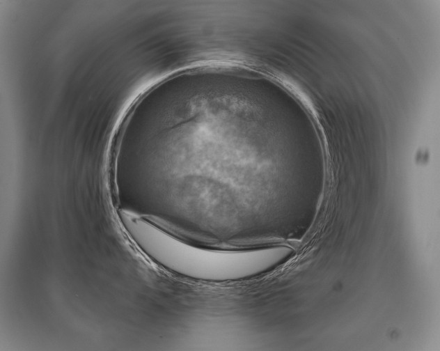 X0000095511104200712141418