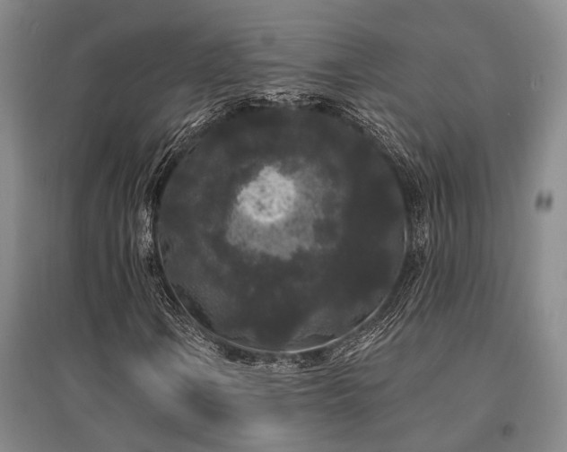 X0000095511106200712141417