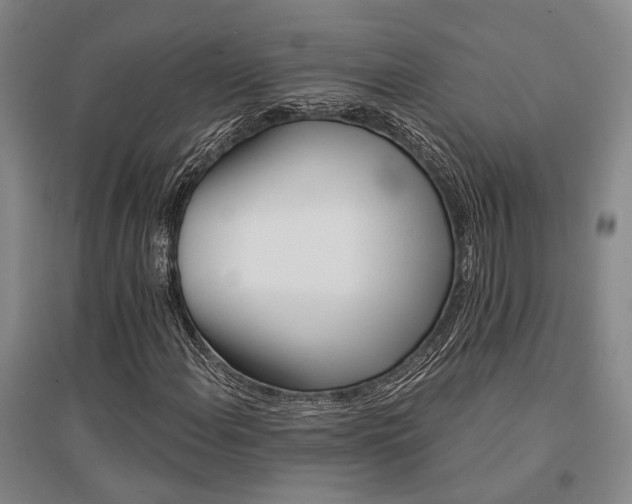 X0000095511108200712141417