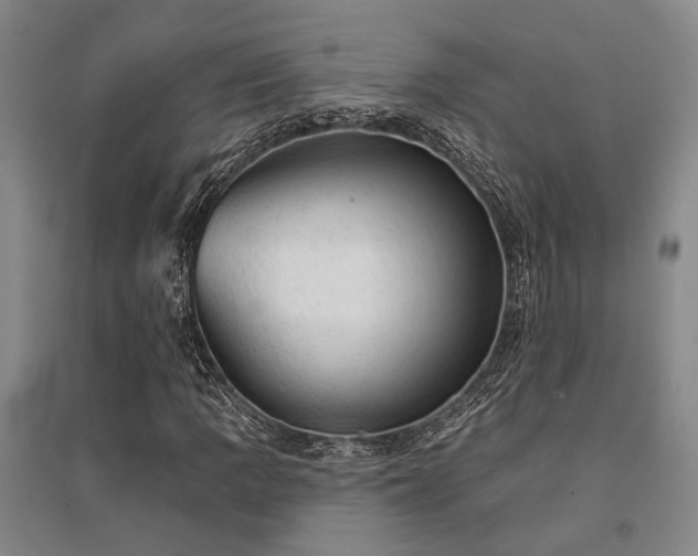 X0000095511109200712141417