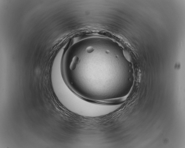 X0000095511110200712141417