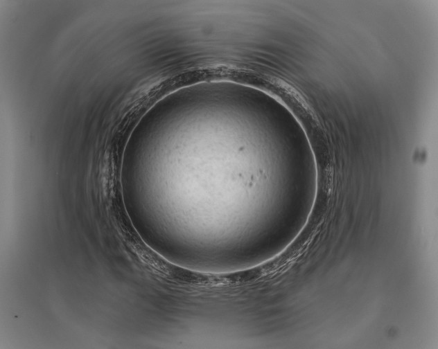 X0000095511111200712141417