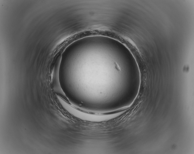 X0000095511112200712141417