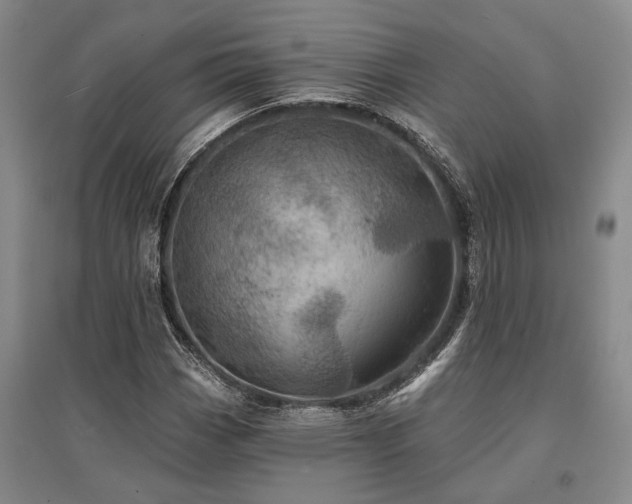 X0000095511113200712141417