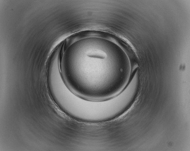 X0000095511114200712141417