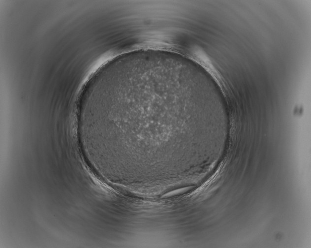 X0000095511115200712141417