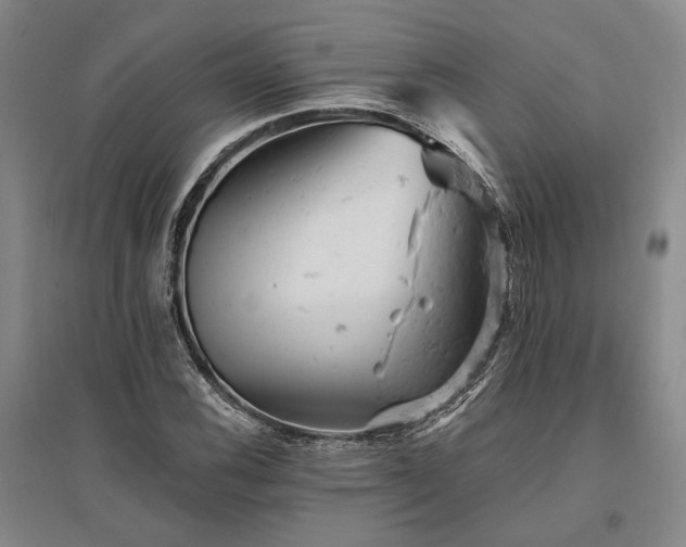 X0000095511116200712141417