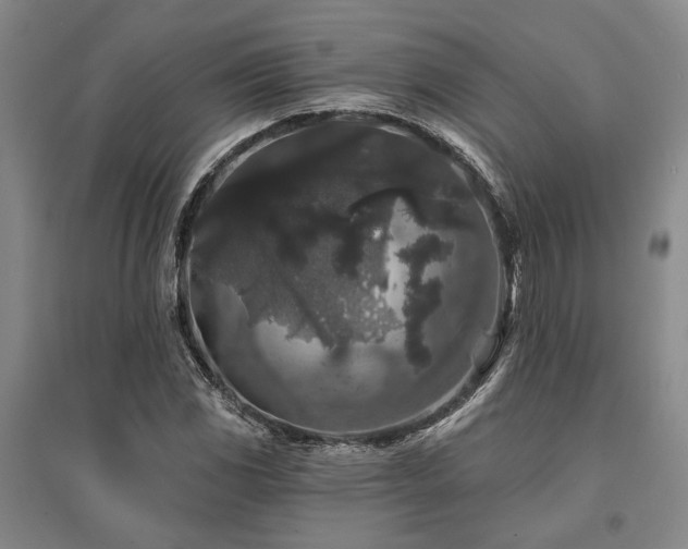 X0000095511117200712141417