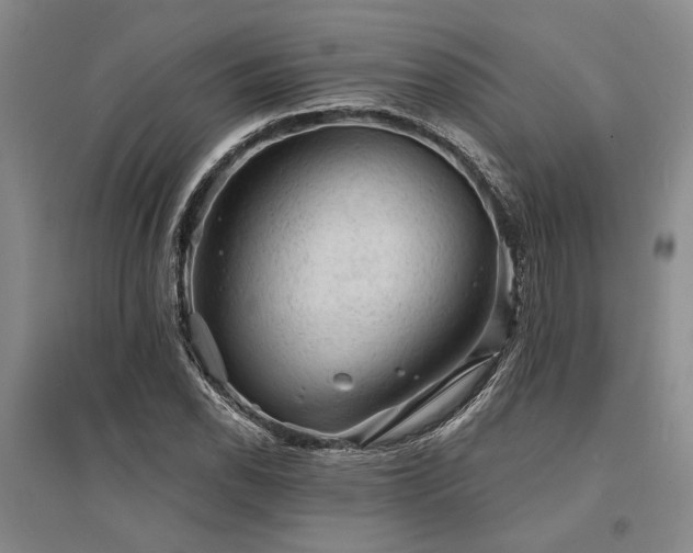 X0000095511118200712141417