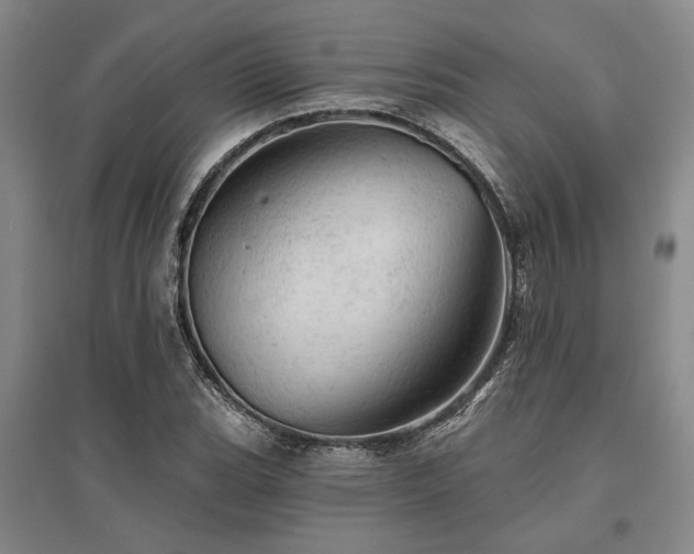 X0000095511119200712141417