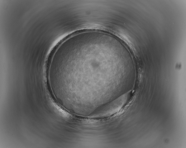 X0000095511120200712141417