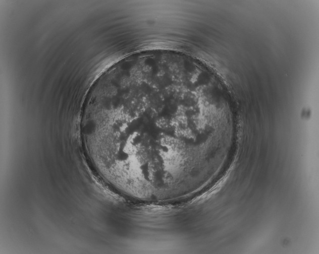 X0000095511121200712141417