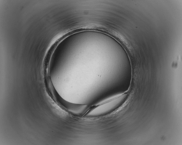 X0000095511122200712141417