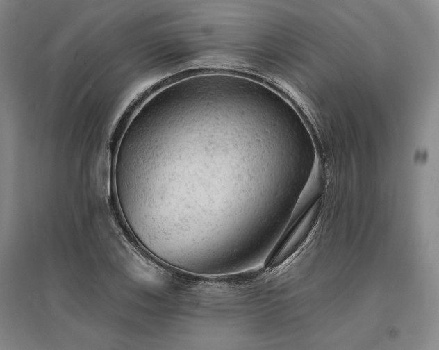 X0000095511123200712141417