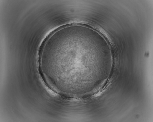 X0000095511124200712141417