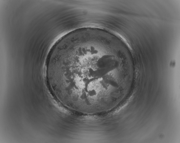 X0000095511125200712141417