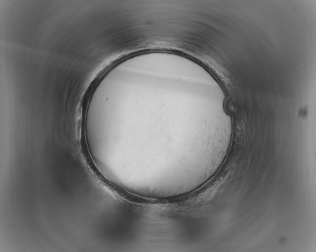 X0000095511126200712141417