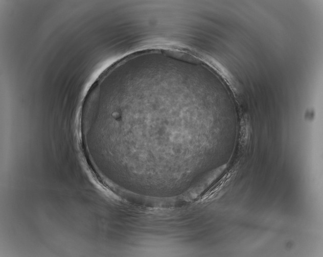 X0000095511128200712141417