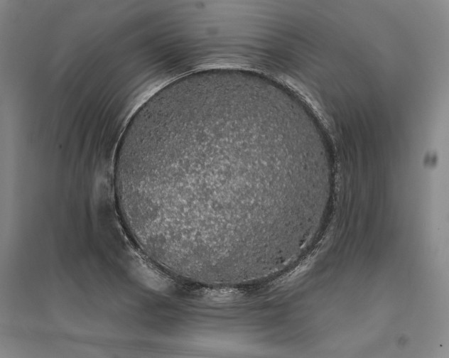 X0000095511129200712141417