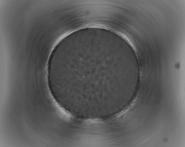X0000095511133200712141417