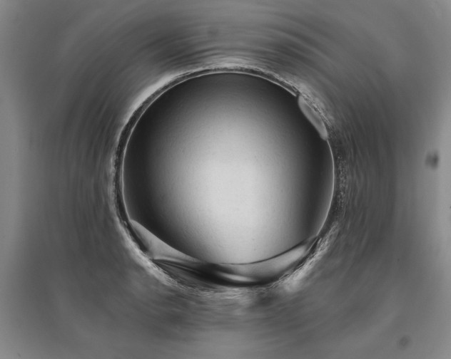 X0000095511134200712141417
