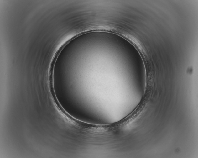 X0000095511135200712141417