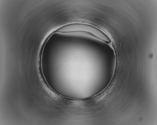 X0000095511136200712141418