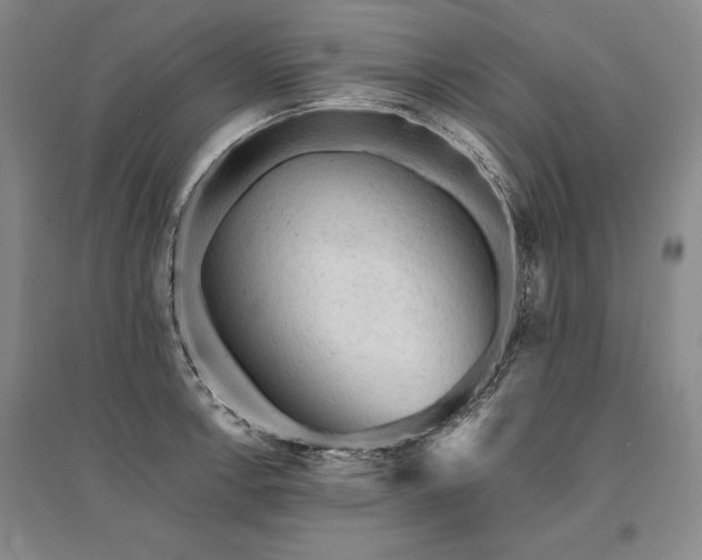 X0000095511138200712141418