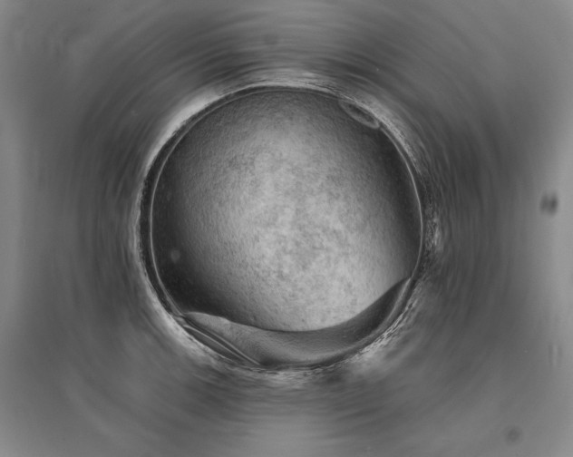 X0000095511139200712141418