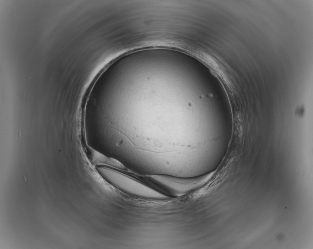 X0000095511140200712141418