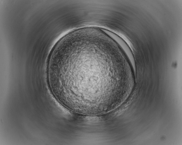 X0000095511142200712141418