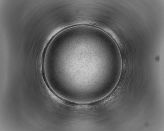 X0000095511143200712141418