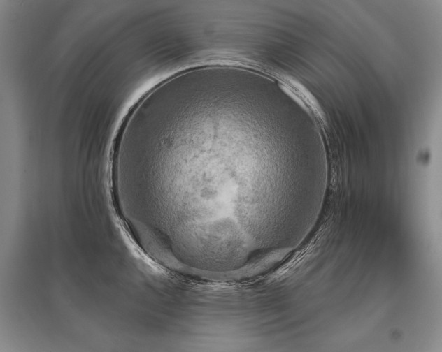 X0000095511144200712141418