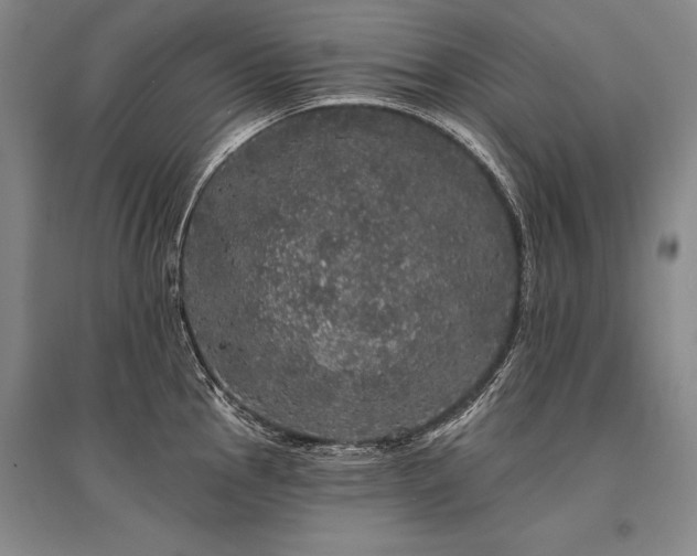 X0000095511145200712141418