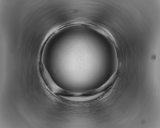 X0000095511146200712141418