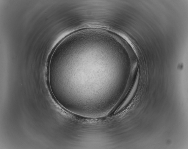 X0000095511147200712141418