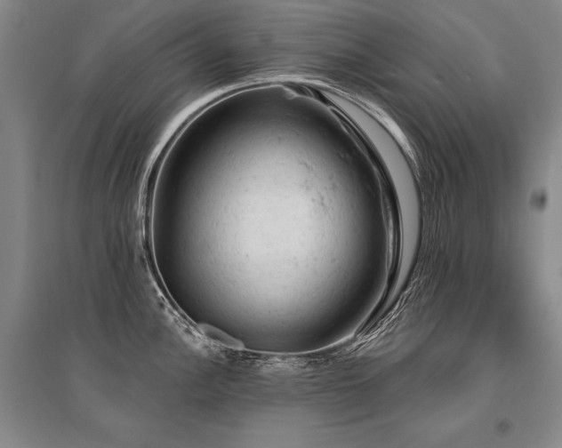 X0000095511148200712141418