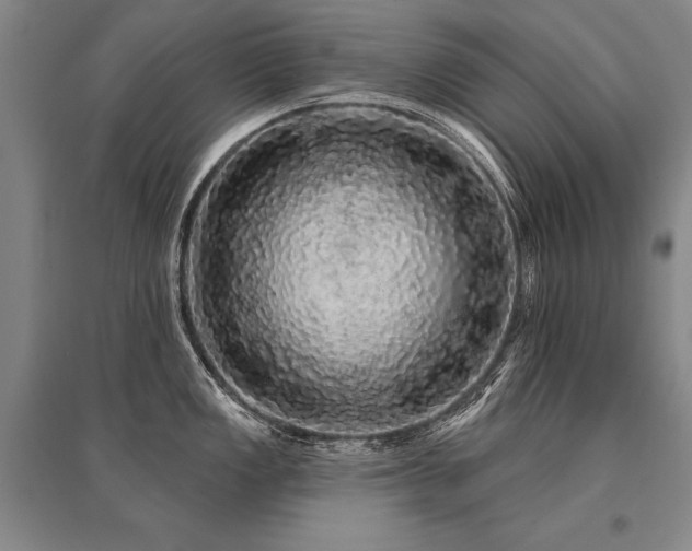 X0000095511149200712141418