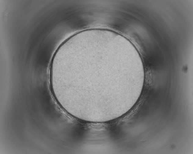 X0000095511150200712141418