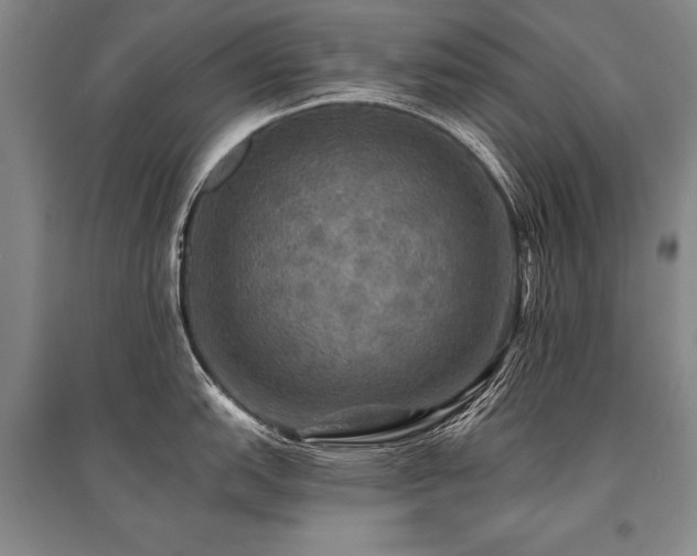 X0000095511151200712141418