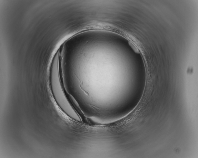 X0000095511152200712141418