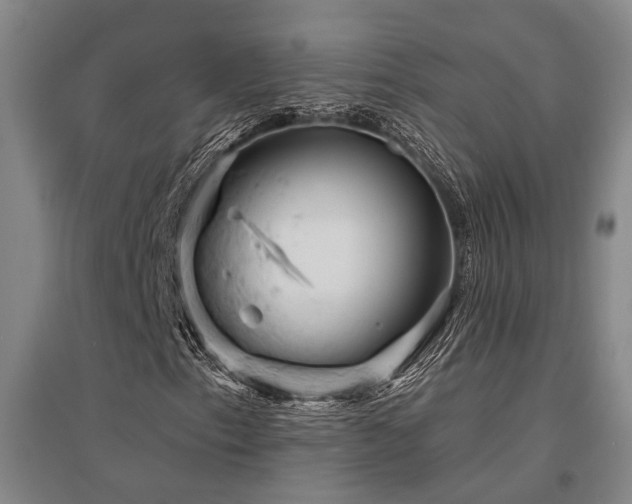 X0000095511153200712141417