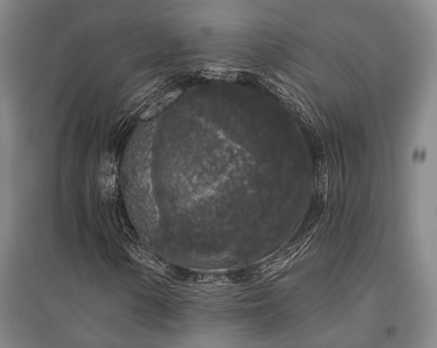 X0000095511154200712141417