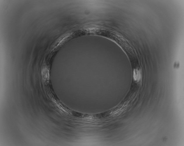 X0000095511155200712141417