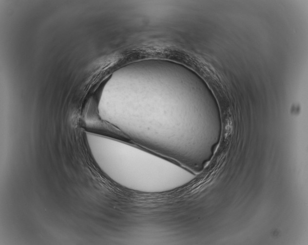 X0000095511156200712141417