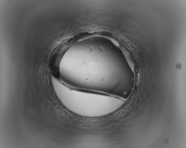 X0000095511157200712141417