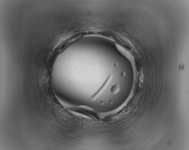 X0000095511160200712141417